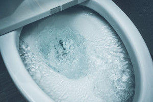 トイレのつまりや水漏れは症状で見極める！