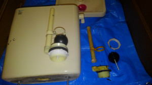 KIMG0106