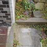 1563857952544